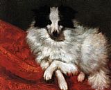 Sitting on cushions dog by Gustave Courbet
